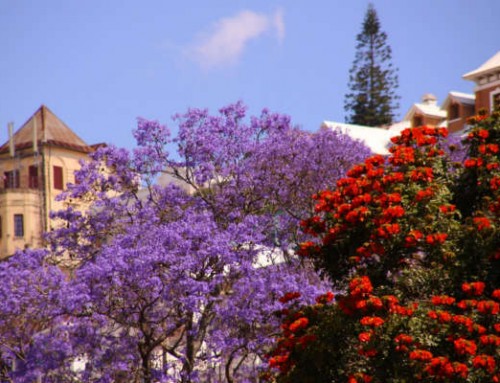 Antananarivo, l’esuberante capitale del Madagascar