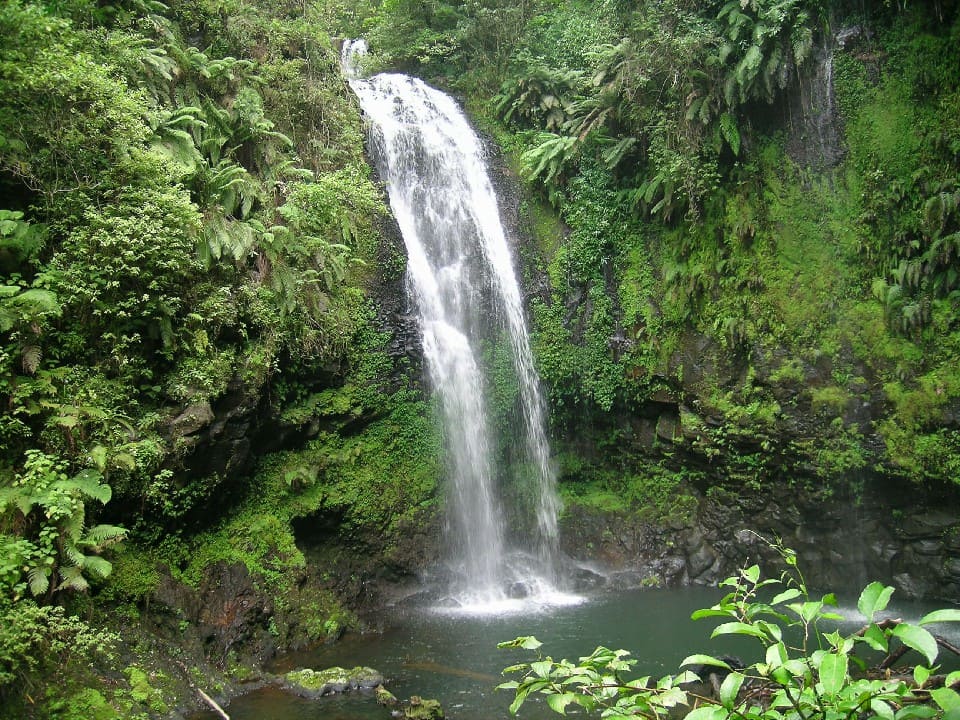 Montagne d’Ambre